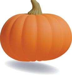 Ripe juicy pumpkin for fall decoration banners, advertising, invitation to Thanksgiving family gathering. Vector illustration from 3d rendering. Modern style clay.