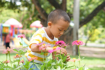 Boy exploring flowers in the garden