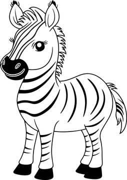 Zebra vector illustration. Black and white outline Zebra coloring book or page for children