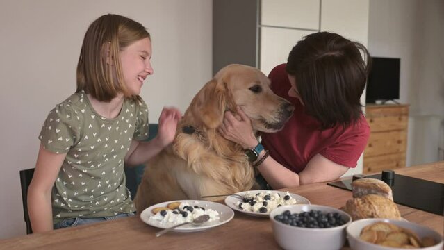 Mother and daughter with golden retriever dog with cottage chease breakfast feeding pet and smiling, Young woman and preteen girl family with purebred doggy eat cream milk desert