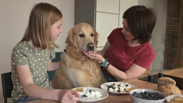 Mother and daughter with golden retriever dog with cottage chease breakfast feeding pet and smiling, Young woman and preteen girl family with purebred doggy eat cream milk desert