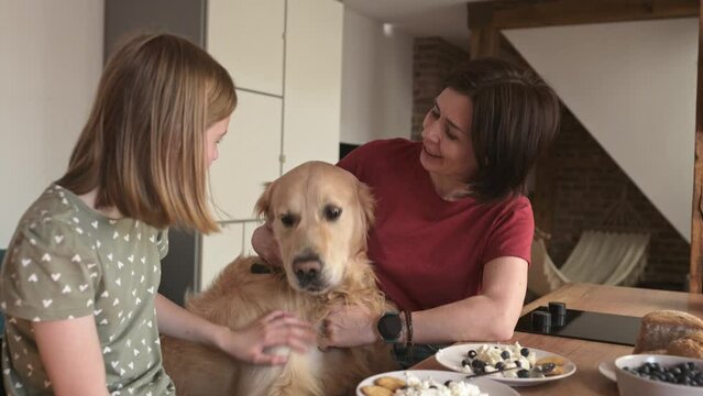 Mother and daughter with golden retriever dog with cottage chease breakfast feeding pet and smiling, Young woman and preteen girl family with purebred doggy eat cream milk desert