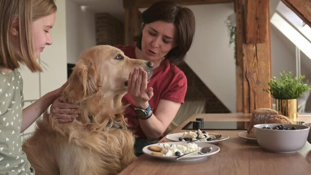 Mother and daughter with golden retriever dog with cottage chease breakfast feeding pet and smiling, Young woman and preteen girl family with purebred doggy eat cream milk desert
