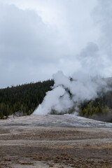 Yellowstone national park landscapes, Wyoming, usa