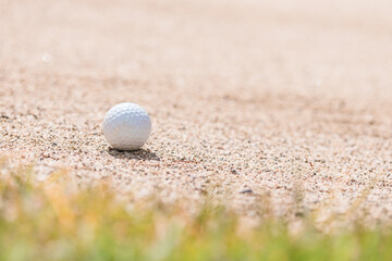 バンカーに入ったゴルフボール

