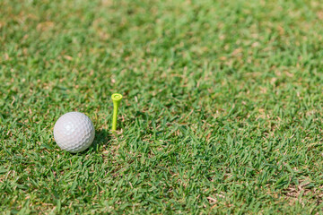 ティーとゴルフボール
