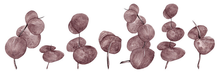 Eucalyptus grey-purple. Border from different branches of eucalyptus in watercolor for your design