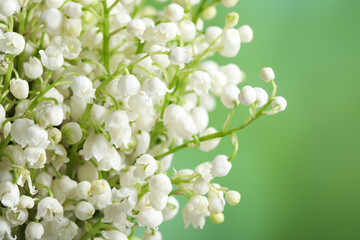 Beautiful lily of the valley flowers on blurred green background, closeup. Space for text