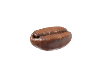 One aromatic coffee bean isolated on white