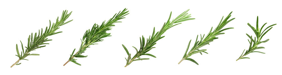 Set with fresh rosemary isolated on white