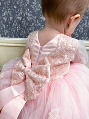 Dressed up little girl toddler in pink lace dress with big bow and fluffy mesh skirt. First Birthday party celebration photo - 616571126