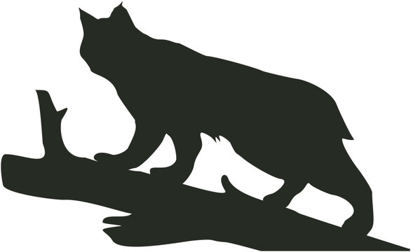recommend clip art: Bobcat illustration
