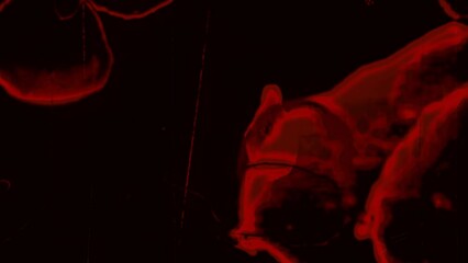 Bloody Crime Film Noise FX Loop - Background and overlay animation
