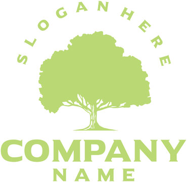 Tree logo design