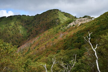 仲秋の日光の山