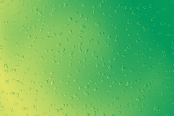 rain drops on window