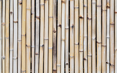 Bamboo pattern surface texture for background design at Thailand.