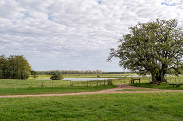 Countryside landscape at daytime, clouds and sun.