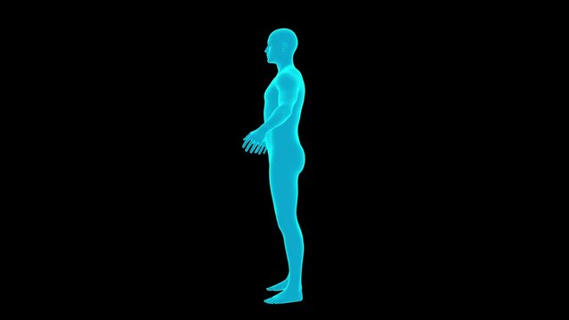 Blue avatar rotates on a black background. Basic shape. Seamless loop.