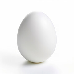 an ordinary plain egg on clear white background