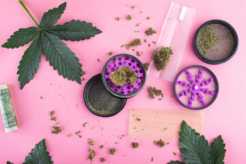 On a pink background lies a disassembled metal grinder with a dry bud of medical marijuana, pieces...