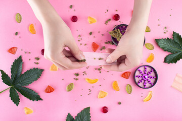 Naklejka na ściany i meble Female hands twist a joint over a pink background on which chewing marmalade, crushed pieces of dry medical marijuana buds are scattered, green cannabis leaves lie and a grinder is opened.