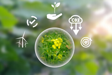 net zero concept with icons on blurred green leaves diffuse sunlight background