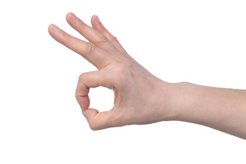 Close-up of beautiful woman's hand isolated on white background.