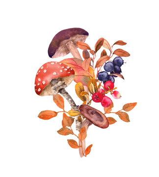 Autumn bouquet with mushrooms, berries, plants and autumnal leaves. Hand painted natural illustration with fungus, seasonal watercolor card design