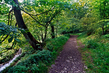 Trilha em Wenslydale, Lake District. Inglaterra.