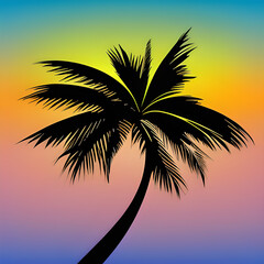 Palm tree shadow. with rainbow background