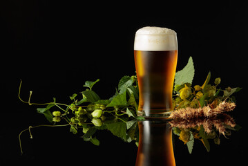 The glass of beer with hops on a black reflective background.