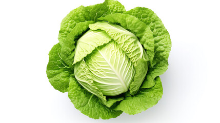 Fototapeta premium Fresh cabbage on a white background 