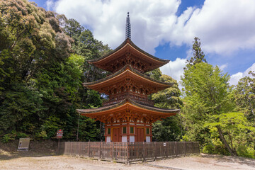 Obraz premium 霊山寺の三重塔