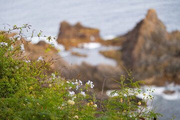 beautiful scenery of Madeira island