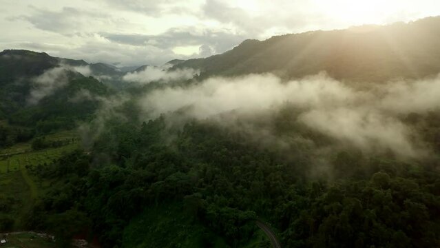 Aerial view flying above lush green tropical rain forest mountain with rain cloud cover during the rainy season on the Doi Phuka Mountain reserved national park the northern Thailand