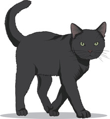 illustration of black cat walking