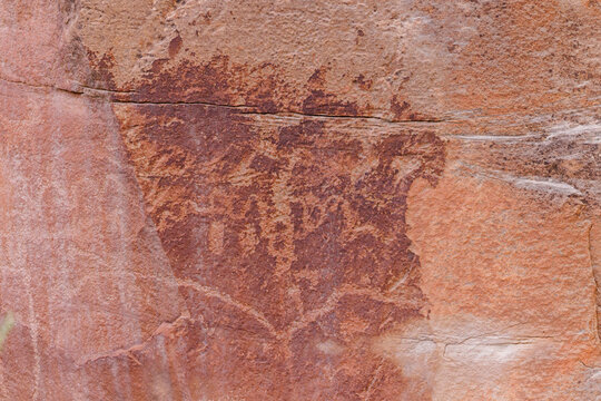 Petroglyph Panels in Capitol Reef National Park near Fruita, Utah during spring. Selective focus, background blur and foreground blur. 
