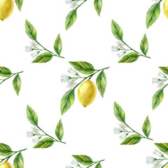 Seamless pattern with lemon watercolor illustrattion. Hand drawn illustration isolated on white background. Seamless pattern for logo, menu, decoration.