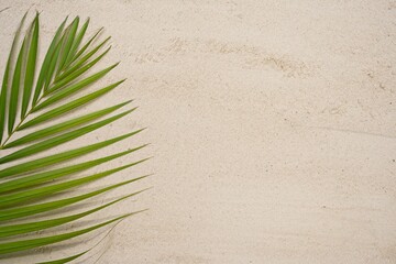 Fototapeta na wymiar Abstract green palm leaf on sand beach with copy space. 