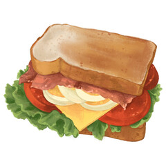 big delicious sandwich and lunch