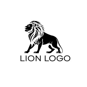 Lion logo - Lion vector illustration