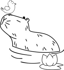 Capybara with bird line art