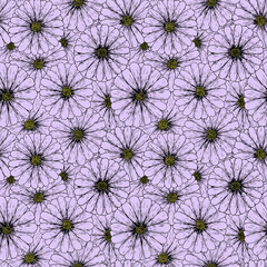 Botanical hand drawn seamless pattern made of ink pen daisy flowers with yellow cores top view.Simple minimalistic line art floral background in vintage style on violet.