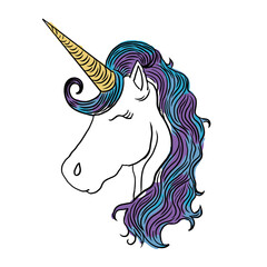 unicorn with a hair