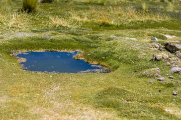 Lagune in der Salar de Uyuni am Tag.