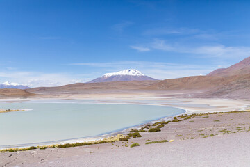 Flamingos in einer Lagune in der Salar de Uyuni in Bolivien