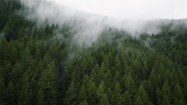 Aerial view of beautiful mountain landscape. Fog rises over the mountain slopes
