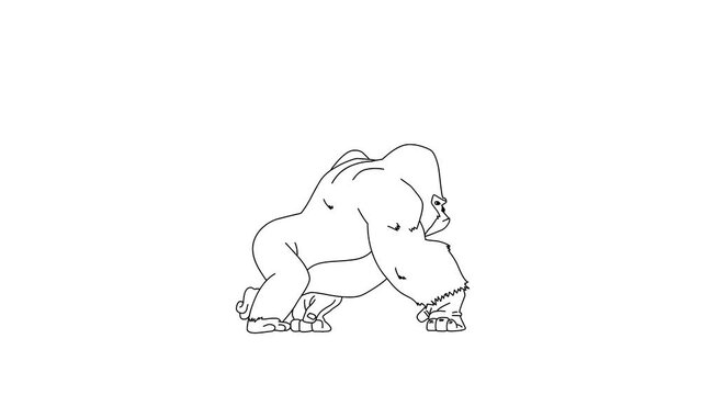 2d Hand Drawn Animation, Walking Gorilla Cartoon On Isolated White Background