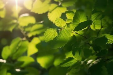 Fototapeta na wymiar Sun in the blurry green leaves background. Generative AI.